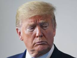 32,853,016 likes · 153,479 talking about this. Trump S New Blog Shows Him Just Shouting Into The Void