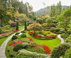 Die beete wollen kultiviert werden! Top 20 Gartenpflanzen Fur Fruhling Sommer Herbst Winterhart Bilder