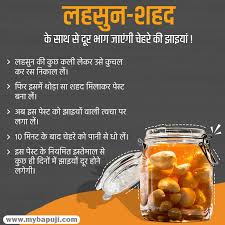 लहस न क फ यद और न कस न Lahsun Ke Fayde Aur Nuksan In 2020 Garlic Benefits Ayurvedic Treatment Daily Health Tips
