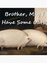 Brother May I Have Some Oats Pig Meme Tote Bag By Quazzimodo619 Redbubble