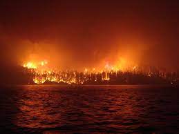 The elephant hill fire was the largest in b.c. 2017 British Columbia Wildfires Wikipedia