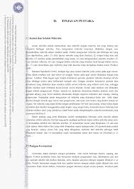 Ii Tinjauan Pustaka
