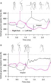 Determine An Effective Golf Swing By Swing Speed And Impact