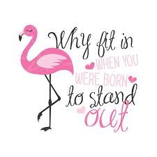 Why Fit In When You Were Born To Stand Out Drawing Why Fit In When You Were Born To Stand Out Svg Flamingo Svg Etsy T Shirts With Sayings Flamingos Quote Love One Another Quotes