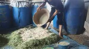 cara buat fermentasi jerami