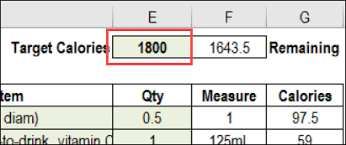 Excel Calorie Counter