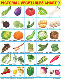 vegetables vegetable chart vegetables charts for kids