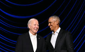 Image result for Bidens diversa