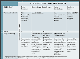 a simple raci chart for file share clean up