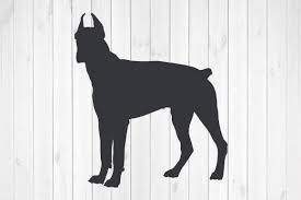 Download Doberman Silhouette Svg Graphic By Rayan Creative Fabrica PSD Mockup Templates