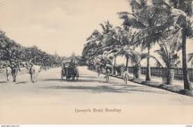BOMBAY, India, 1900-10s; Palm Tree ...