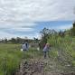 Shoreline Cleanup at Fort Macon State Park event image