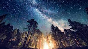 Nature Aesthetic Desktop Wallpapers Wallpaper Cave See more ideas about aesthetic wallpapers, wallpaper, aesthetic. nature aesthetic desktop wallpapers