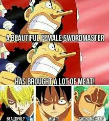 Straw Hat Pirates One Piece Funny One Piece Meme One Piece Manga
