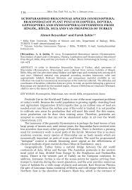 Image result for Cyperus breviradius