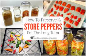 Maybe you would like to learn more about one of these? How To Preserve Store Peppers From Your Garden For The Long Term