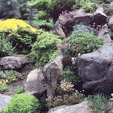 This is very pretty and you can easily change the designs whenever you want. Rock Garden Design Ideas Better Homes Gardens