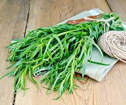 Not only is glycyrrhiza glabra almost universally believed to be one of nature's best medicines, but it also tastes delicious! The Surprising Answer For What Does Tarragon Taste Like Mess Makes Food