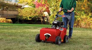 To do this put the seeds in growing trays filled with moist compost. How To Overseed Your Lawn When Reseeding Toro Yard Care Blogtoro Yard Care Blog