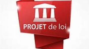 Loi pour choisir son avenir professionnel. Le Projet De Loi Pour La Liberte De Choisir Son Avenir Professionnel Definitivement Adopte Par Le Parlement Reste A Connaitre L Avis Du Conseil Constitutionnel Ess Emploi Formation Insertion Et Bien