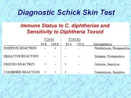 Photo of young boy receiving the schick test from a doctor. Corynebacterium Erysipelothrix Listeria Online Presentation