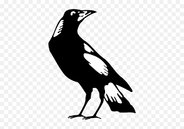 Collingwood football club, the magpies, is a club which plays australian rules football in the afl. Best Sellers Logo Icon Collingwood Logo Clipart Full Collingwood Football Club Png Free Transparent Png Images Pngaaa Com