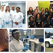 How much can you really earn as a phlebotomist? Quest Diagnostics Phlebotomist Salaries Glassdoor