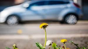 Perhaps a greater barometer to determine car spending is your overall net worth. Are Hybrid Cars Worth It The Answer Will Surprise You Moneysmartguides Com