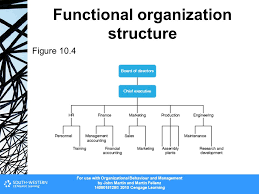 organization structure ppt video online download