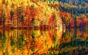 Looking for the best screensavers and wallpaper autumn scene? 74 Autumn Wallpaper Hd On Wallpapersafari
