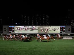 Hong kong turf sprinters are so good, there are only two international sprinters that are entered. The Gambler Who Cracked The Horse Racing Code Bloomberg