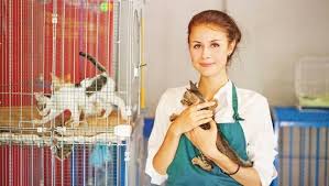 25 Creative Ways To Help Animal Shelters Animal Shelter Cat Shelter Pet Adoption