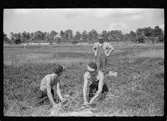 arthur rothstein burlington county labor union padrone pinterest