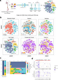 Get the inside scoop on jobs, salaries, top office locations, and ceo insights. Dissecting The Single Cell Transcriptome Network Underlying Esophagus Non Malignant Tissues And Esophageal Squamous Cell Carcinoma Ebiomedicine