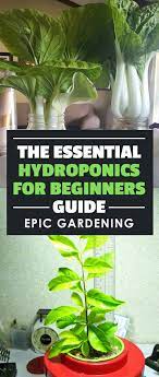 A Series On Hydroponics For Beginners Learn The Science Behind Hydroponics And How To Bu Homemade Hydroponic System Hydroponics For Beginners Hydroponics Diy