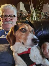 Hi I'm Winston, I was recently adopted from a rehoming charity. I'm loving  my new life with my new hoomans!! 🐾💙