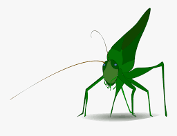 Cartoon cricket insect illustrations & vectors. Insect Grasshopper Cricket Cartoon Drawing Grasshopper Clipart Free Transparent Clipart Clipartkey