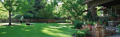 Find lawn care near me here. Clean Air Lawn Care Madison