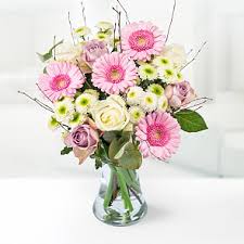 We did not find results for: Get Well Soon Flowers Bargain Blooms