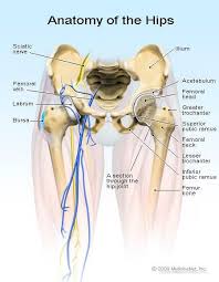 All of the modules must be written in coffeescript. Types Of Broken Bones Symptoms Treatment Healing Surgery