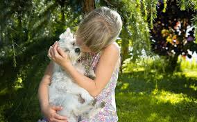 Maybe you would like to learn more about one of these? Everything You Need To Know About Pet Insurance In Los Gatos Ca