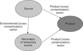 Airborne microorganisms are biologically active contaminants carried on free floating particles such as dust particles suspended in the air. What Are The Four Main Types Of Contamination Hazard