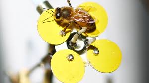 Check spelling or type a new query. 3 D Printed Flowers May Help Save The Bee Population Architectural Digest