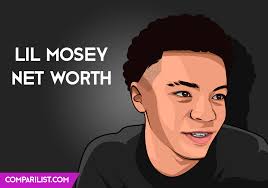 Lil mouse has an estimated net worth. Lil Mosey Net Worth 2019 Sources Of Income Salary And More