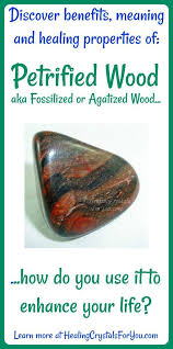 Crystal Properties And Meanings Petrified Wood Petrifiedwood Strong Grounding Stones Enhance Patience Petrified Wood Meaning Petrified Wood Wood Meaning