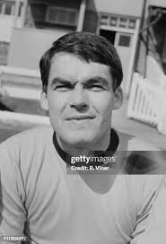 319 Wignall Stock Photos, High-Res Pictures, and Images