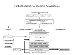 Glucagon is released in response to low blood glucose levels and to events whereby the body needs additional glucose, such as in response to vigorous exercise. Treatment Of Diabetes Mellitus In Children And Adolescents Endotext Ncbi Bookshelf