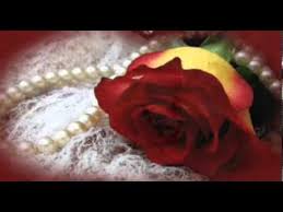 Stevie Wonder I Just Called To Say I Love You Meme I Just Called To Say I Love You By Stevie Wonder Rose Glitter Graphics Flowers Photography