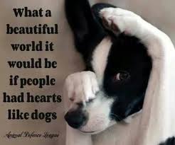 What A Beautiful World It Would Be If People Had Hearts Like Dogs Dog Quotes Dog Love Dogs