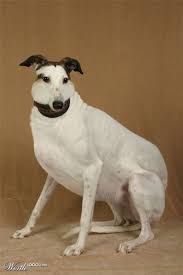 Pin On Photogenic Animals